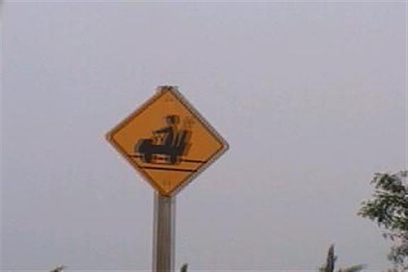 Golf cart crossing (graphic)